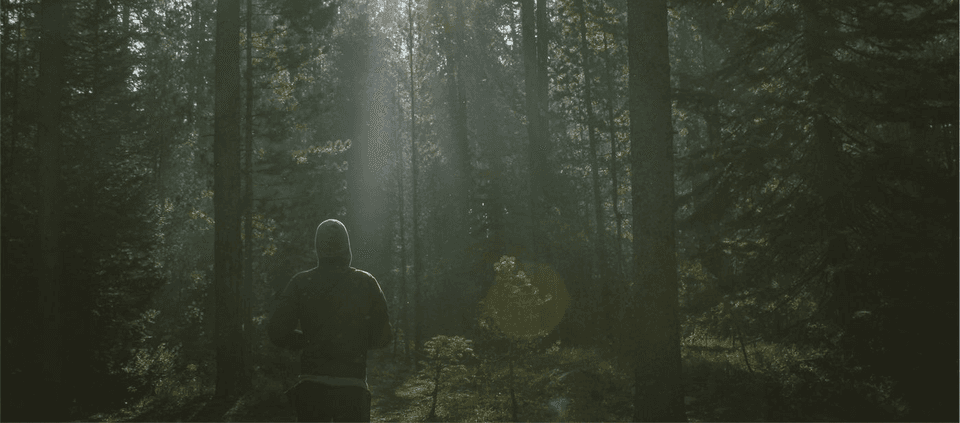 最近お腹の調子が悪い