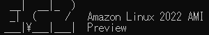 AmazonLinux2022へTeraterm接続で躓いた件について